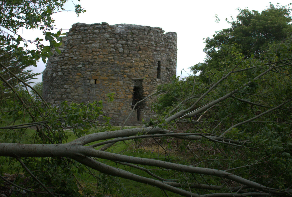 Parkavonear Castle, Ireland